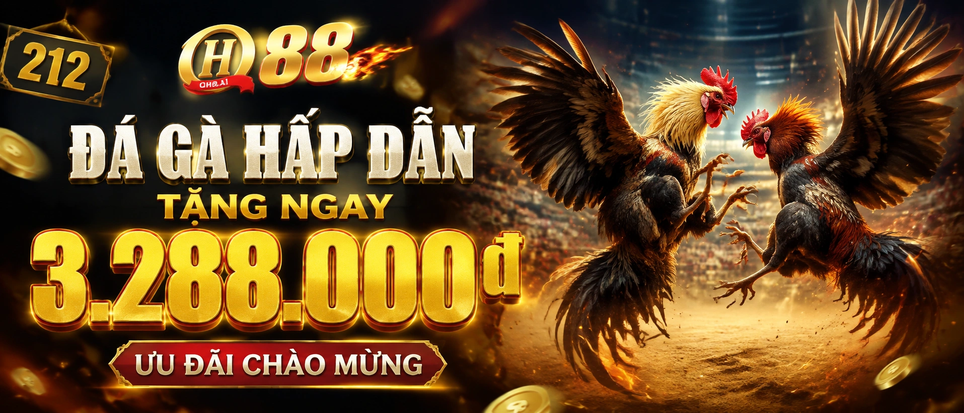 Đá Gà Thomo và phòng xem trực tiếp